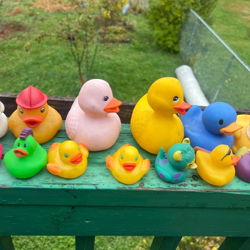 Colorful Rubber Duck Collection - Picture 6 of 10